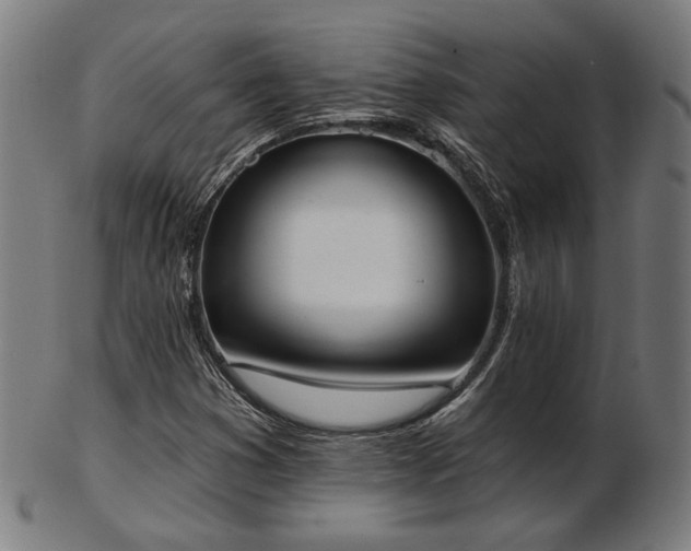 X0000103421353200809121257