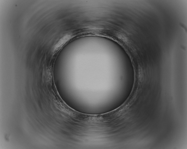 X0000103421354200809121257