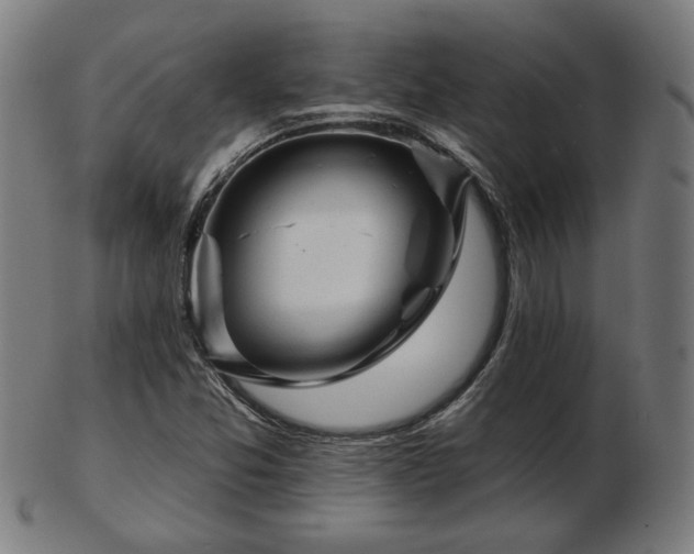 X0000103421357200809121257