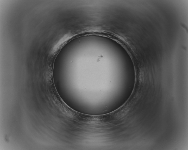 X0000103421359200809121257