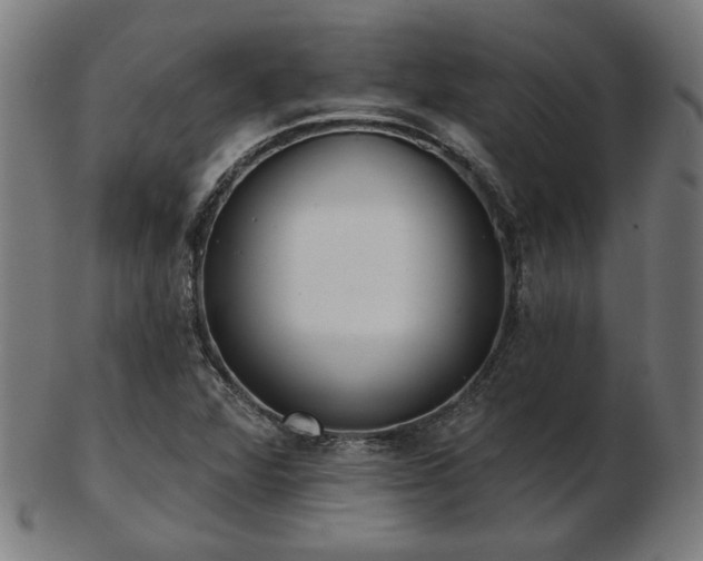 X0000103421360200809121257