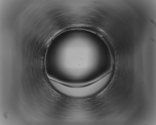 X0000103421361200809121257