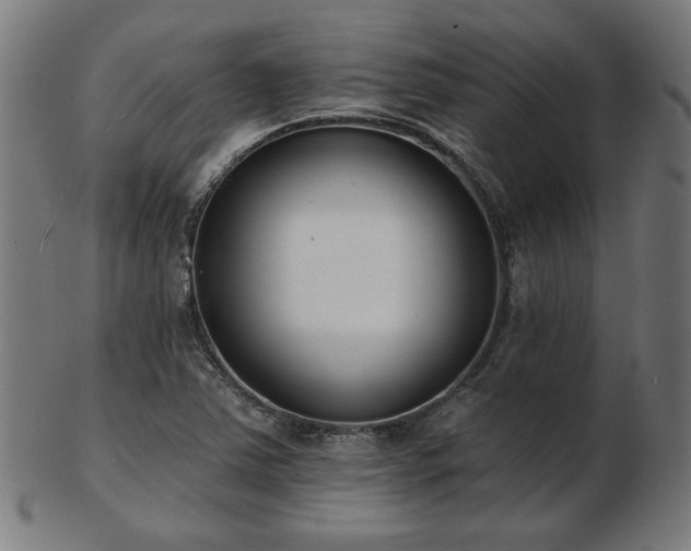 X0000103421363200809121257