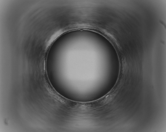 X0000103421365200809121257