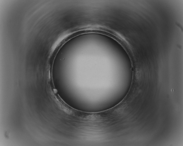 X0000103421368200809121257