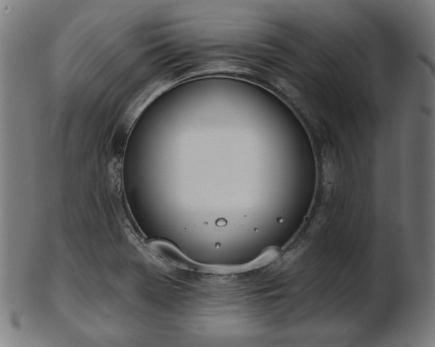 X0000103421369200809121257