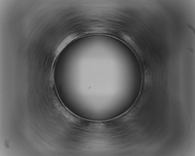 X0000103421370200809121257