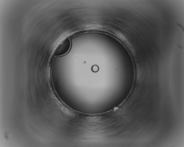 X0000103421376200809121257