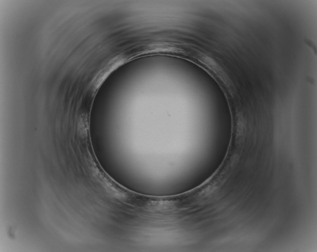 X0000103421377200809121257