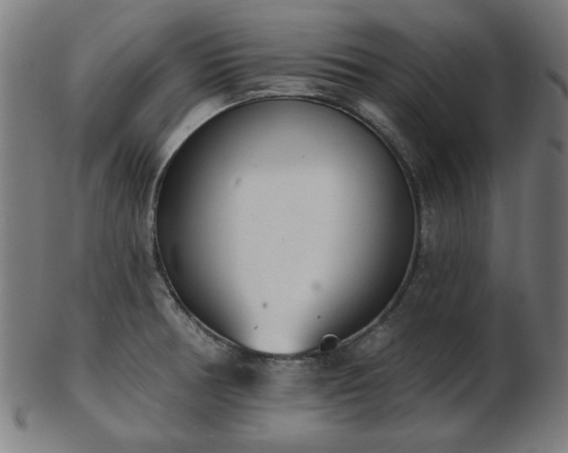X0000103421378200809121257