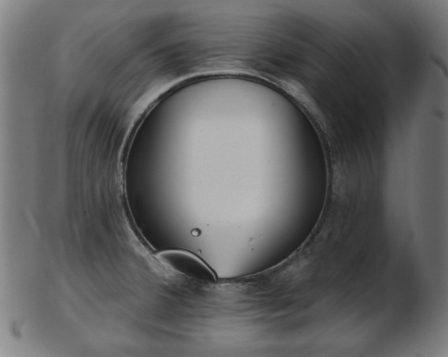 X0000103421380200809121257