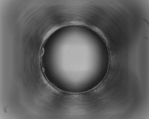 X0000103421381200809121257