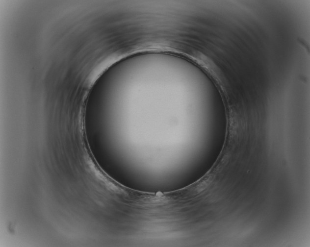 X0000103421382200809121257