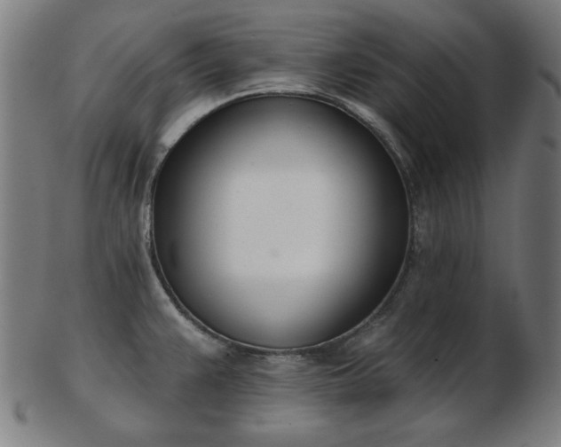 X0000103421383200809121257