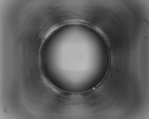 X0000103421384200809121257