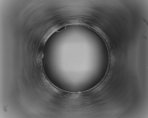 X0000103421385200809121257