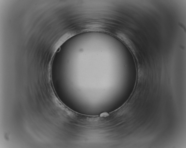 X0000103421386200809121257