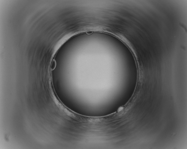 X0000103421389200809121257