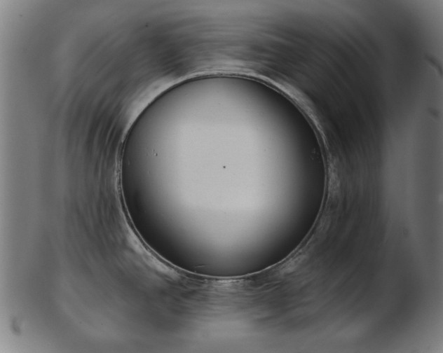 X0000103421390200809121257