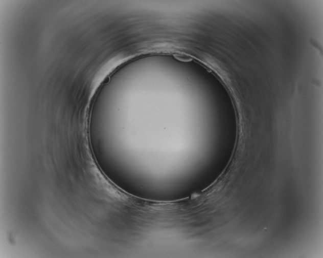 X0000103421392200809121257