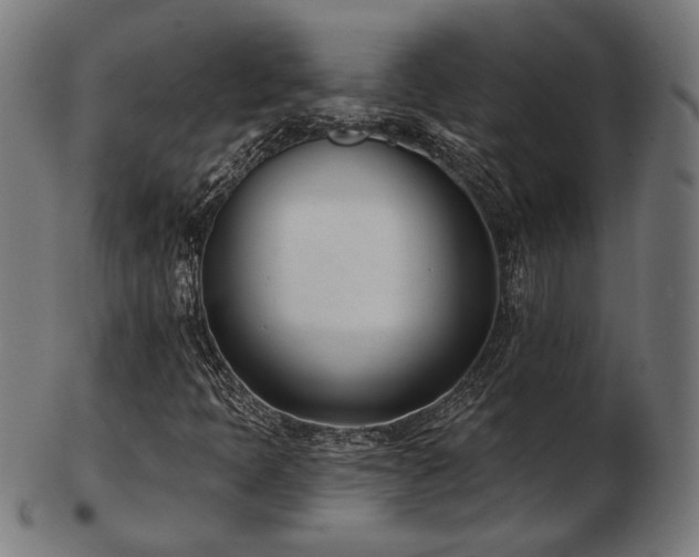 X0000103421397200809121256
