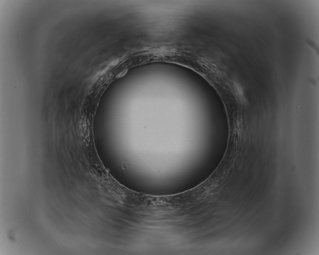 X0000103421398200809121256