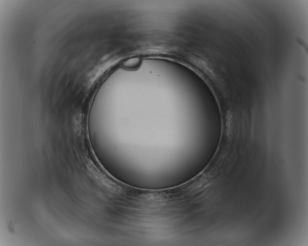 X0000103421404200809121256