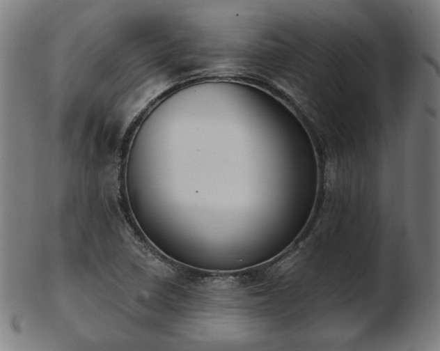 X0000103421410200809121257