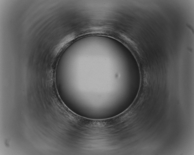 X0000103421411200809121257