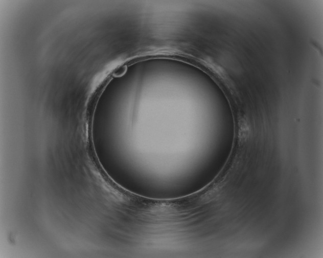 X0000103421414200809121257