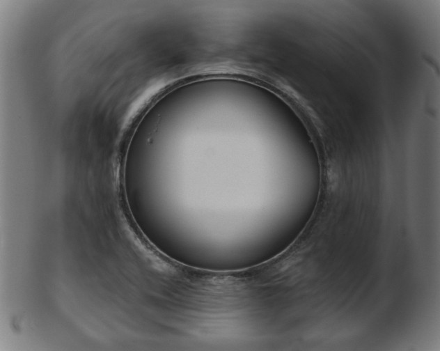 X0000103421416200809121257