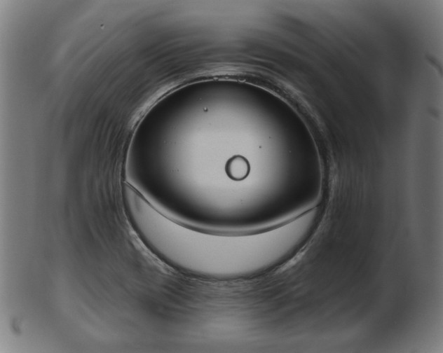 X0000103421417200809121257