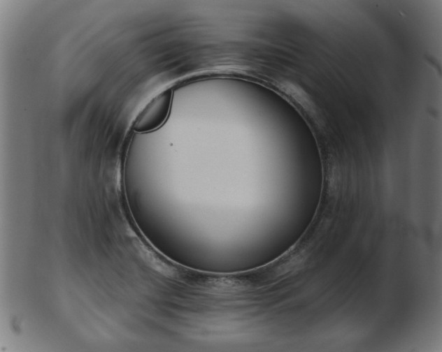 X0000103421420200809121257