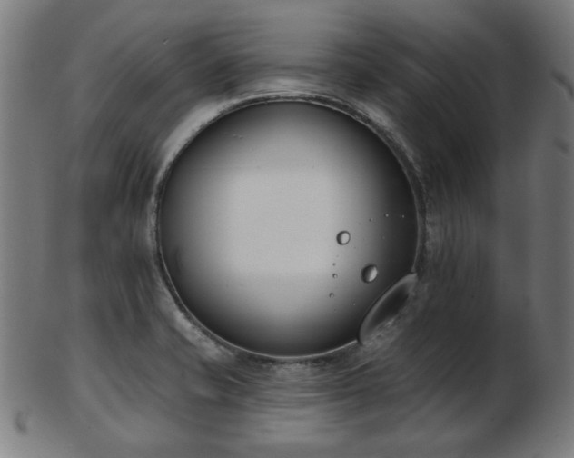 X0000103421421200809121257
