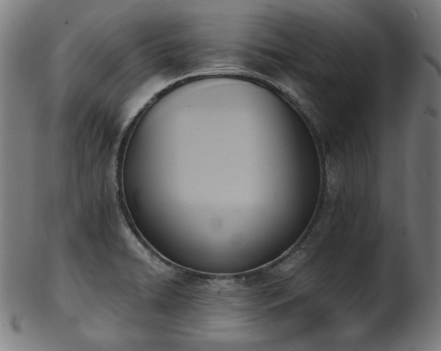 X0000103421422200809121257
