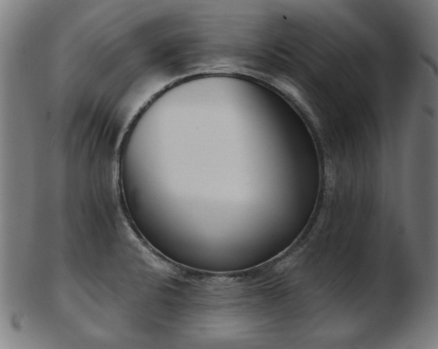 X0000103421424200809121257