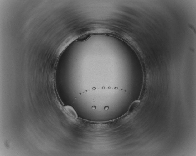 X0000103421425200809121257