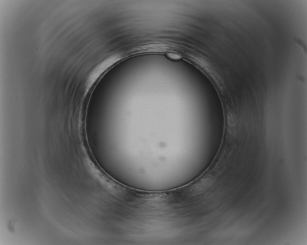 X0000103421426200809121257