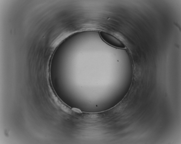 X0000103421431200809121257