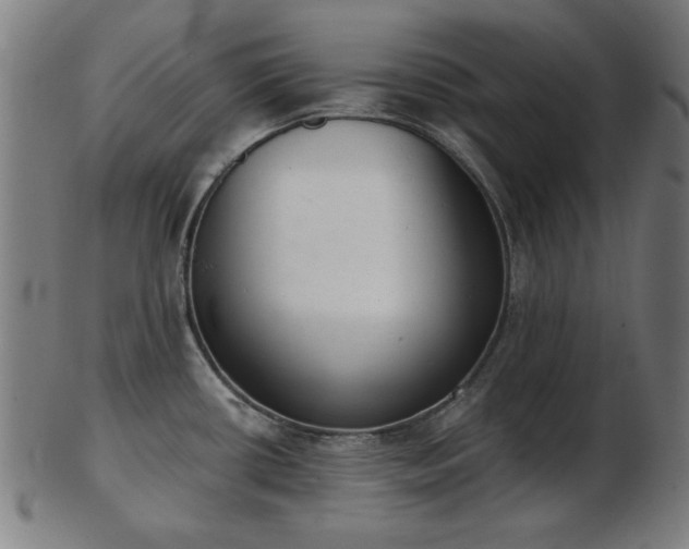 X0000103421434200809121257