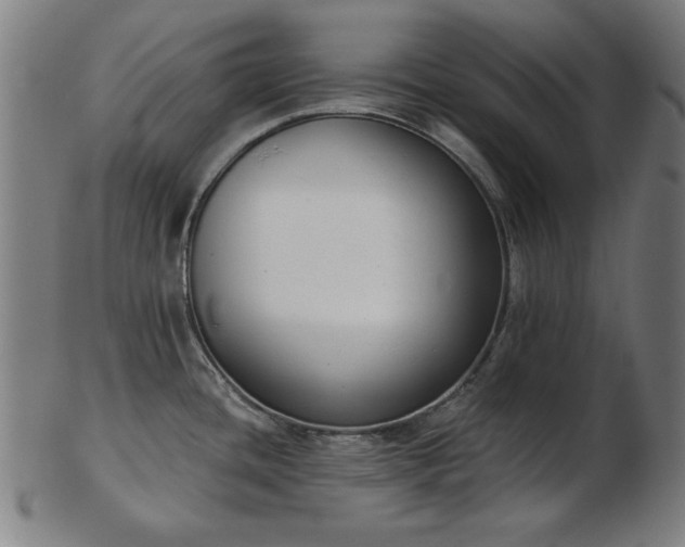 X0000103421436200809121257