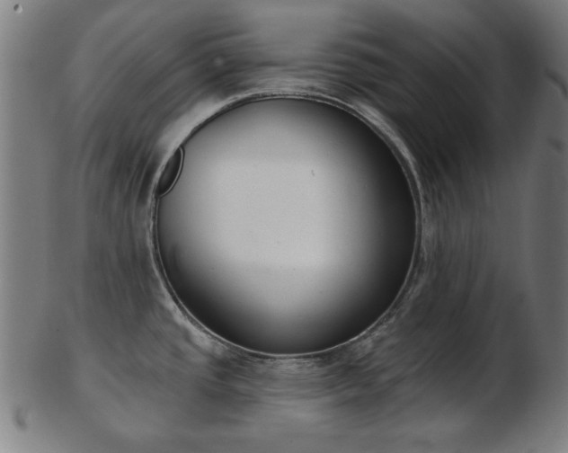 X0000103421437200809121257