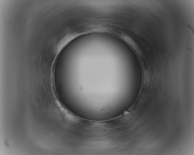 X0000103421439200809121257