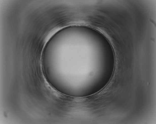 X0000103421440200809121257