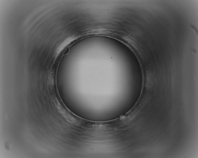 X0000103421458200809121256