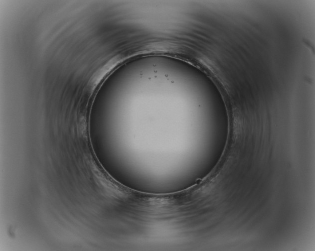 X0000103421465200809121256