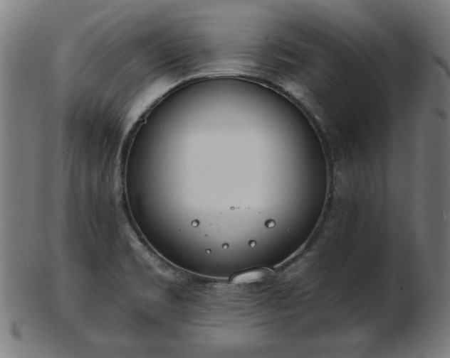 X0000103421469200809121256
