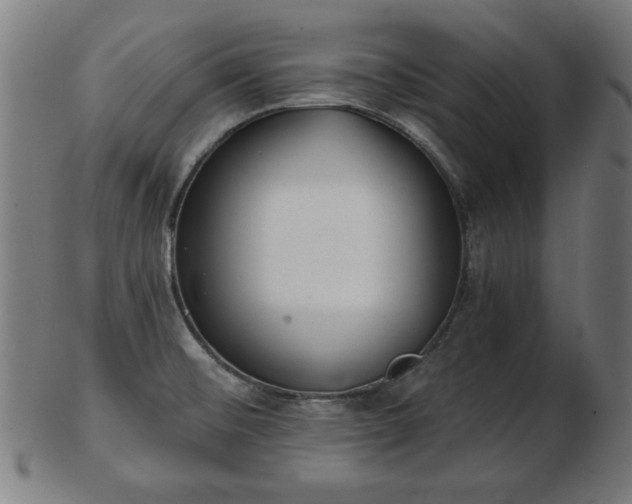 X0000103421476200809121256