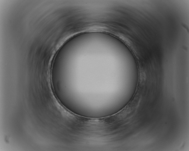 X0000103421478200809121256