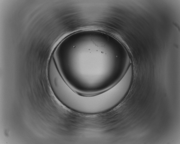 X0000103421484200809121256
